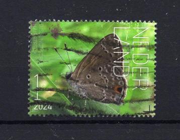 Beleef de Natuur 2024 hailfstreak beschikbaar voor biedingen