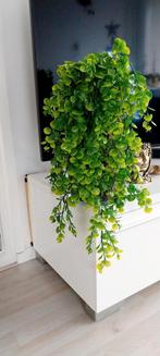 Hangplant 80cm- 2pcs, Tuin en Terras, Ophalen of Verzenden