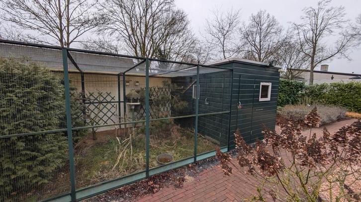 Volière met binnenverblijf., Dieren en Toebehoren, Pluimvee | Toebehoren, Gebruikt, Overige typen, Ophalen