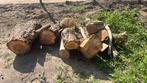 Hout (gratis afhalen), Minder dan 3 m³, Ophalen of Verzenden, Overige houtsoorten, Blokken