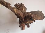 Taxidermie
Opgezette roofvogel, Verzamelen, Dierenverzamelingen, Ophalen, Vogel, Opgezet dier