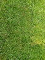 Graszoden, Tuin en Terras, Ophalen, Zo goed als nieuw, Minder dan 10 m², Gras