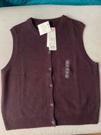 Gilet van 100% cashmere, Kleding | Dames, Ophalen of Verzenden, Nieuw, Maat 46/48 (XL) of groter, Overige kleuren