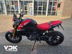DUCATI MONSTER / MONSTER + / MONSTER SP (bj 2024 model 2025), DUCATI, 2 cilinders, Motorrijbewijs A, Bedrijf