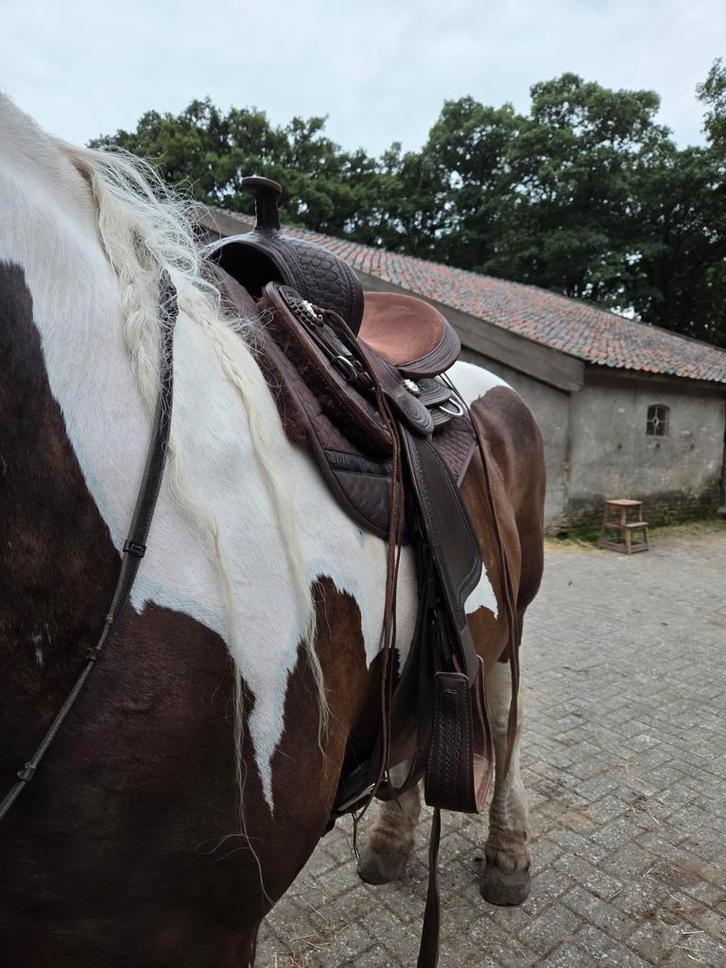 Edix Django western zadel boomloos, Dieren en Toebehoren, Paarden en Pony's | Zadels, Dressuur, Ophalen of Verzenden
