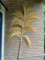 Grote pluim XL decoratie, Ophalen, Zo goed als nieuw