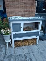 Konijnen/cavia hok met ren voor buiten, Dieren en Toebehoren, 110 cm of meer, Ophalen of Verzenden, 90 cm of meer, Hok