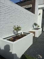 Stalen plantenbakken op maat, Tuin en Terras, 100 cm of meer, Nieuw, Ophalen of Verzenden, Metaal