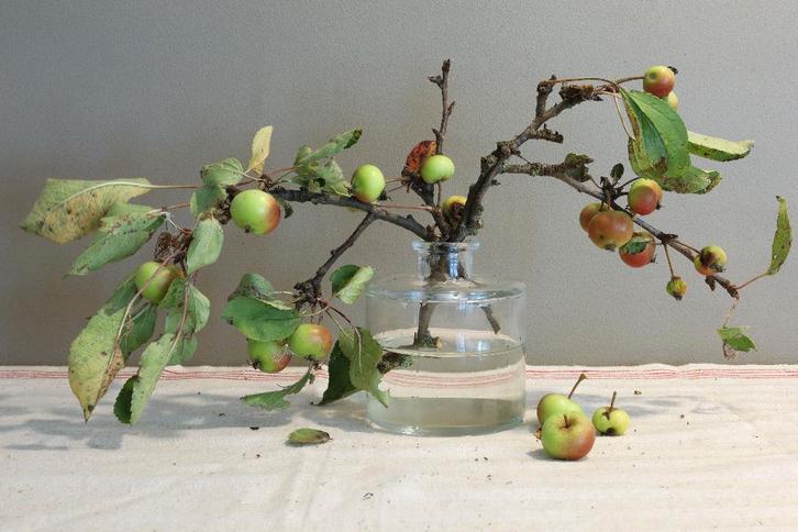 Modern klassiek stilleven 9, Antiek en Kunst, Kunst | Schilderijen | Klassiek, Ophalen