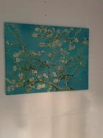 Amandelbloesem Van Gogh, Ophalen, 50 tot 75 cm, Zo goed als nieuw, Schilderij