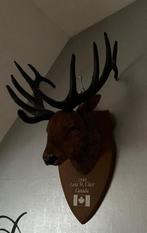 Hertenkop wand hanger hertengewei, Ophalen, Zo goed als nieuw