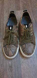 Te koop botticelli schoenen, Kleding | Heren, Schoenen, Ophalen of Verzenden