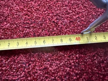 Ivar flessenrek - afbeelding 4