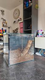 Terrarium, Dieren en Toebehoren, Reptielen en Amfibieën | Toebehoren, Ophalen, Zo goed als nieuw