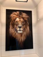 Glazen Schilderij - Leeuw, Ophalen, Zo goed als nieuw, Schilderij, 75 tot 100 cm