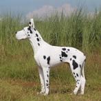 Great Dane beeld – Deense Dog- Lengte 124 cm, Ophalen, Nieuw, Overige typen