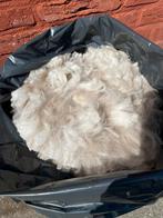 Alpaca wol A-kwaliteit geschoren op 24-04-2025, Hobby en Vrije tijd, Spinnewielen en Spinnen, Ophalen of Verzenden, Nieuw, Spinwol