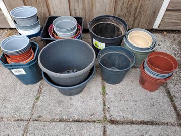 Bloempotten plastic  beschikbaar voor biedingen
