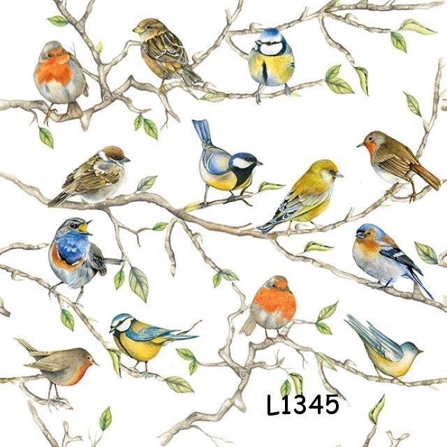 Servetten decoupage/bullet journal – vogels L1345, Hobby en Vrije tijd, Knutselen, Nieuw, Materiaal, Verzenden