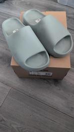 Yeezy Slide Salt ID5480 - 11US 46 EU Nieuw in doos!, Kleding | Heren, Schoenen, Slippers, Overige kleuren, Nieuw, Ophalen of Verzenden