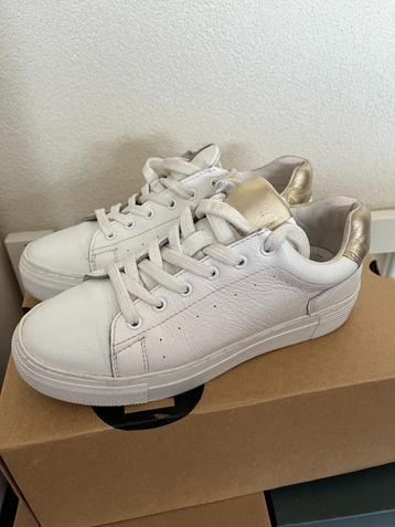 PS Poelman sneakers wit/goud maat 37 beschikbaar voor biedingen