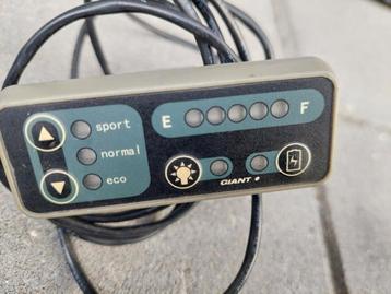 Giant twist  computer display  beschikbaar voor biedingen