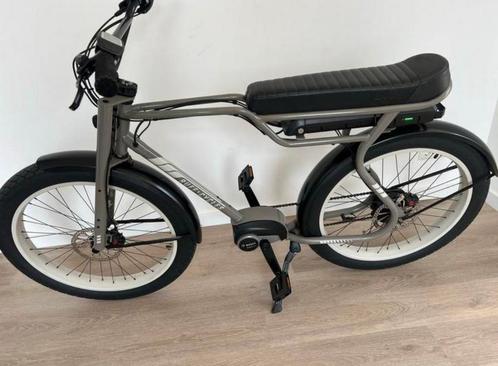Ruff Cycles BIGGIE e-bike (2022) + Supernova lichtset, Fietsen en Brommers, Elektrische fietsen, Zo goed als nieuw, Overige merken