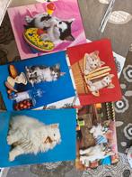 5 mooie vintage, jaren 60, poezenkaarten, Verzamelen, Ophalen of Verzenden, 1960 tot 1980