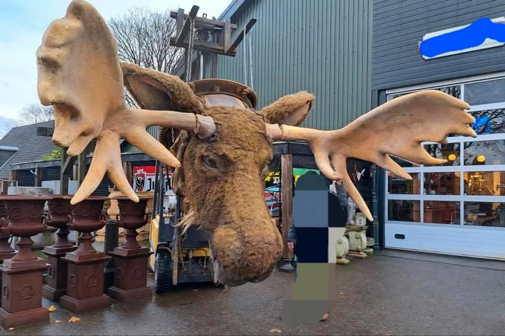 Gigantische Elandkop - Kerstdecoratie, Diversen, Kerst, Gebruikt, Ophalen