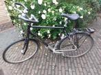 Koga H60 prominence, Gebruikt, Versnellingen, 57 tot 61 cm, Ophalen