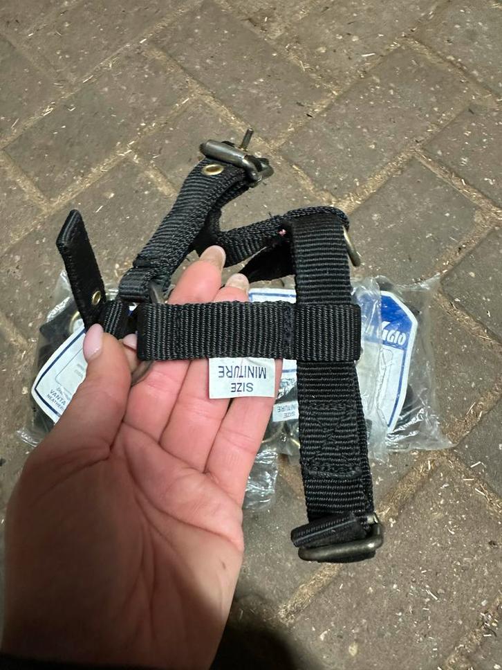 Mini veulenhalsters (nieuw), Dieren en Toebehoren, Paarden en Pony's | Hoofdstellen en Tuigage, Nieuw, Overige soorten, Ophalen of Verzenden