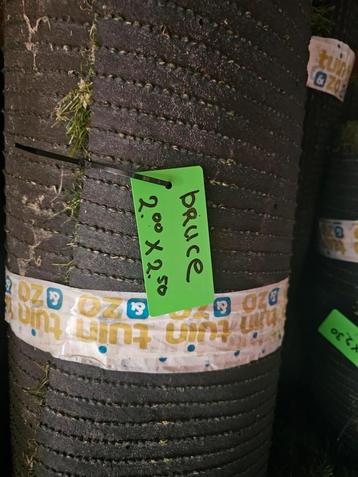 Kunstgras Coupon 2.00 x 2.50 beschikbaar voor biedingen