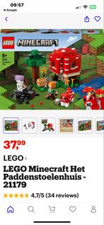 LEGO Minecraft 21179 - Compleet met Boekje!, Kinderen en Baby's, Speelgoed | Duplo en Lego, Ophalen of Verzenden, Zo goed als nieuw