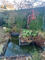 Vijverbak inclusief pomp, Ophalen, Zo goed als nieuw