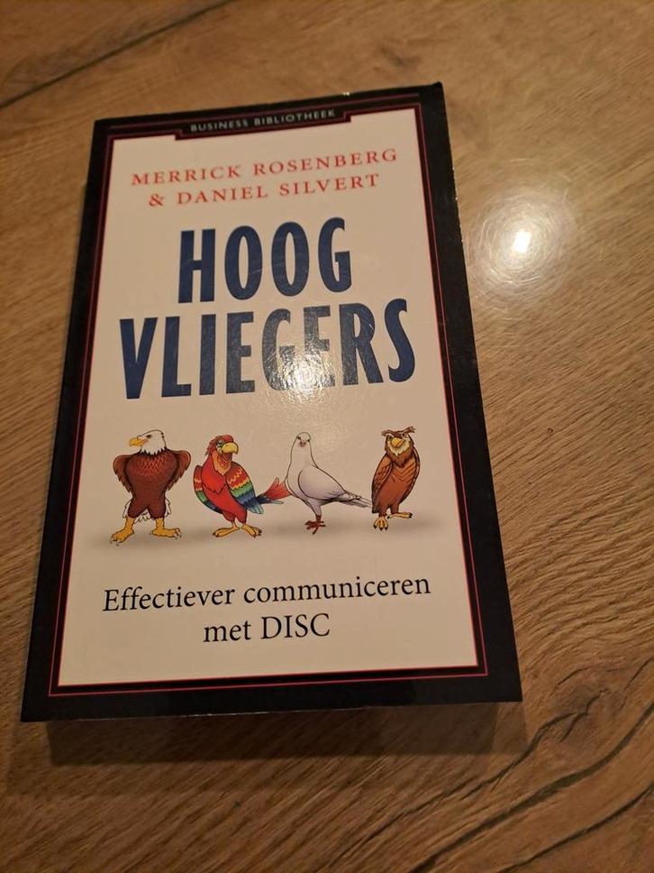 Daniel Silvert - Hoogvliegers, Boeken, Psychologie, Zo goed als nieuw, Ontwikkelingspsychologie, Ophalen of Verzenden