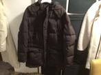 Daniel Hechter parka maat 56 bruin, Bruin, Daniel hechter, Maat 56/58 (XL), Ophalen of Verzenden
