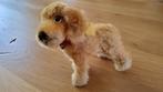 Antiek Steiff hondje dog hund knop in de oor Cocker Spaniel., Antiek en Kunst, Ophalen of Verzenden