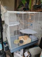 Rattenkooi, Ophalen, Gebruikt, 60 tot 90 cm, 75 tot 110 cm