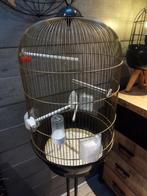 Vogelkooi, Dieren en Toebehoren, Ophalen, Zo goed als nieuw, Metaal, Vogelkooi