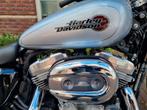 HARLEY-DAVIDSON XL883L Superlow (bj 2020), HARLEY-DAVIDSON, Bedrijf, Onbekend, Overig