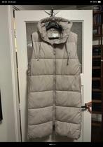 Hm body warmer, Kleding | Dames, Bodywarmers, Ophalen of Verzenden, Zo goed als nieuw, Maat 46/48 (XL) of groter, Zwart