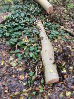 Openhaardhout, Minder dan 3 m³, Ophalen, Overige houtsoorten, Stammen