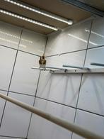 Parva putter 2025, Dieren en Toebehoren, Mannelijk, Wildzangvogel, Geringd