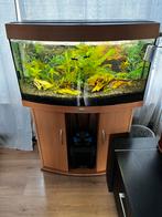 Juwel aquarium met pomp, Zo goed als nieuw, Ophalen, Leeg aquarium