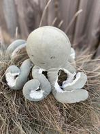 Little dutch grijs/groene octopus, Verzenden