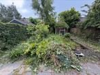 Stronken verwijderen groen, Tuin en Terras, Planten | Bomen, Ophalen of Verzenden