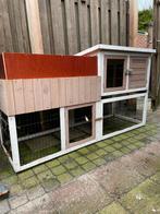 Konijnenhok, 110 cm of meer, Ophalen of Verzenden, Zo goed als nieuw, 90 cm of meer