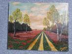schilderij 50 cm. x 40 cm. gesigneerd, Antiek en Kunst, Ophalen of Verzenden