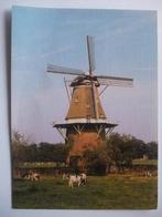 N44 Vilsteren - Molen - 1985, Verzamelen, Ansichtkaarten | Nederland, Verzenden, 1980 tot heden, Ongelopen, Overijssel