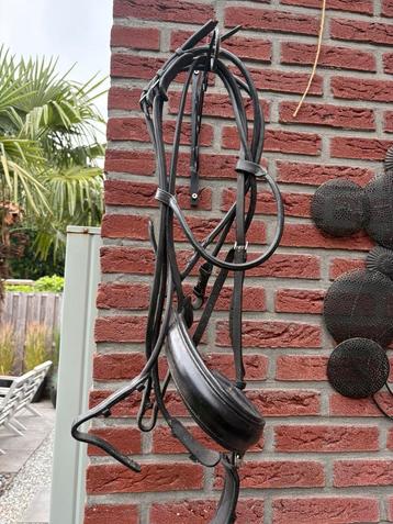 Stang en trens hoofdstellen. beschikbaar voor biedingen